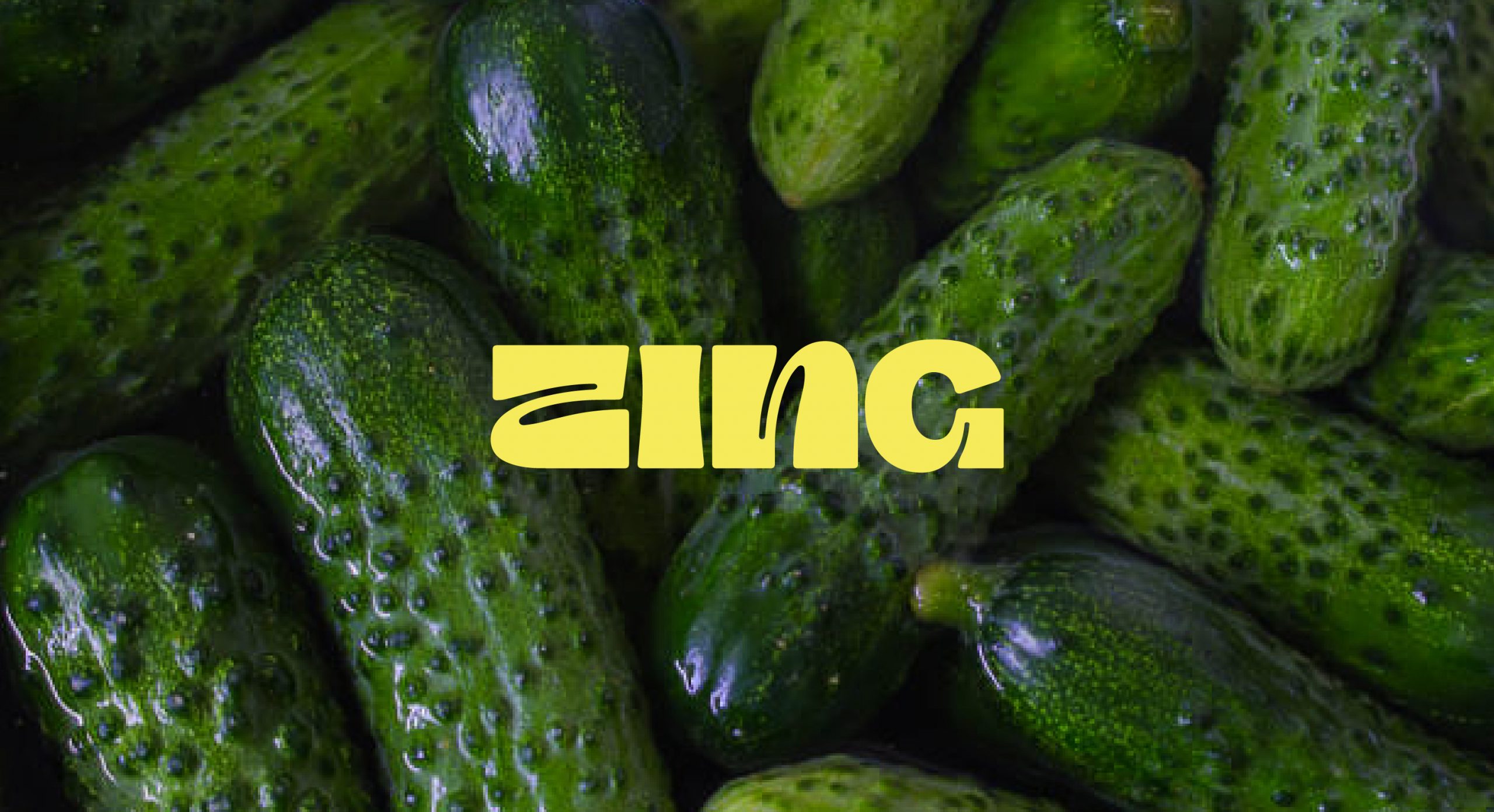 Zing_hero
